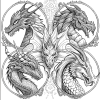 Dragon Adult Coloring Book