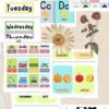 Kids Educational Bundle #1